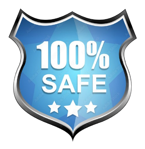 100% Secure